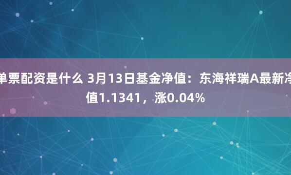 单票配资是什么 3月13日基金净值：东海祥瑞A最新净值1.1341，涨0.04%