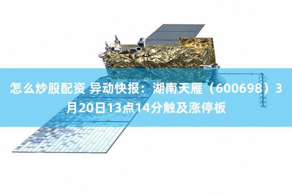 怎么炒股配资 异动快报：湖南天雁（600698）3月20日13点14分触及涨停板