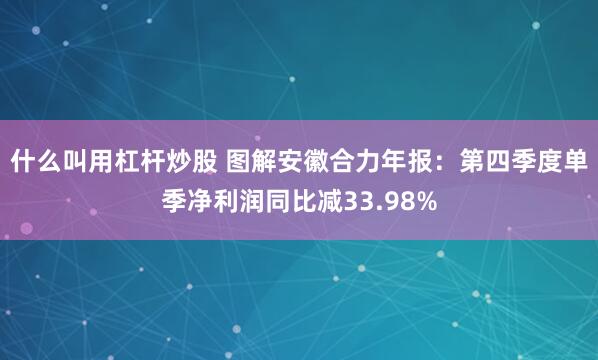 什么叫用杠杆炒股 图解安徽合力年报：第四季度单季净利润同比减33.98%