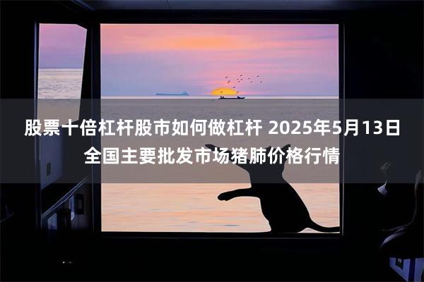 股票十倍杠杆股市如何做杠杆 2025年5月13日全国主要批发市场猪肺价格行情