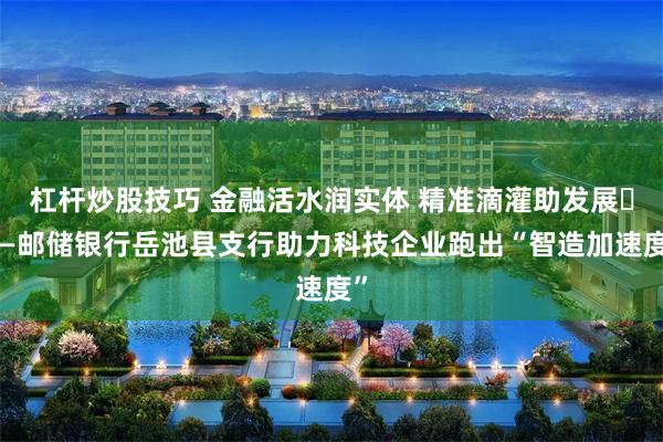 杠杆炒股技巧 金融活水润实体 精准滴灌助发展​——邮储银行岳池县支行助力科技企业跑出“智造加速度”
