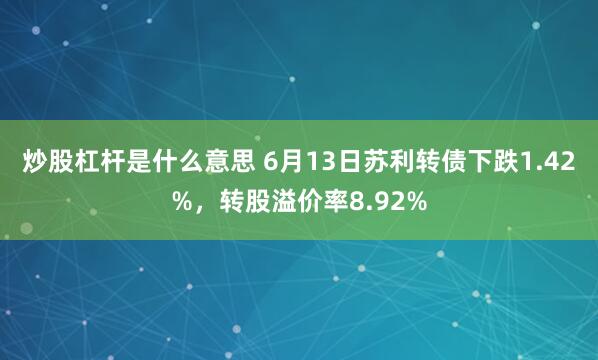 炒股杠杆是什么意思 6月13日苏利转债下跌1.42%，转股溢价率8.92%