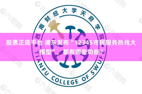 股票正规平台 浦东发布“12345市民服务热线大模型”，都有哪些功能？
