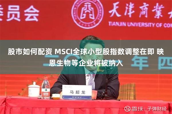 股市如何配资 MSCI全球小型股指数调整在即 映恩生物等企业将被纳入