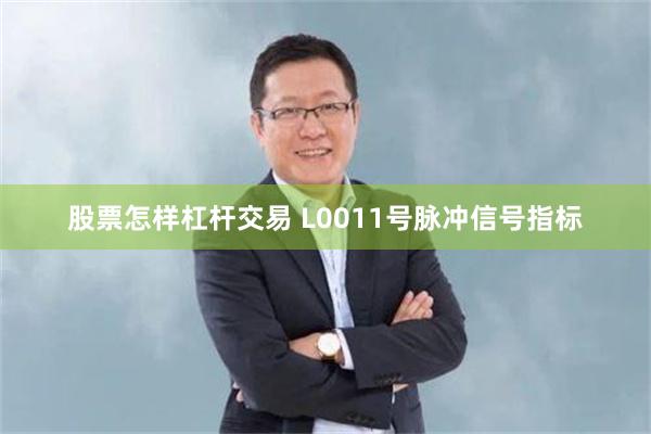 股票怎样杠杆交易 L0011号脉冲信号指标